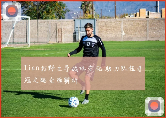 Tian打野主导战略变化 助力队伍夺冠之路全面解析