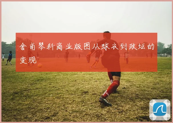 舍甫琴科商业版图从球衣到政坛的变现