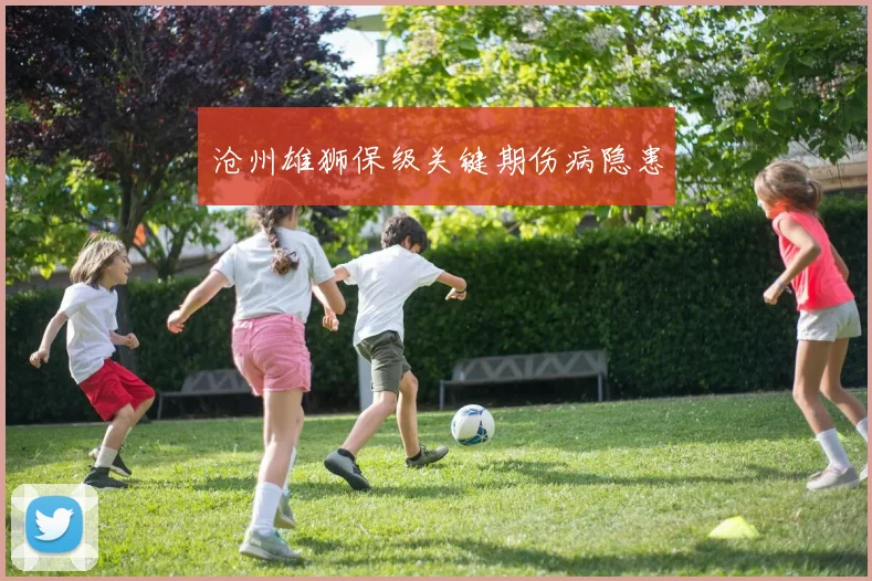 沧州雄狮保级关键期伤病隐患
