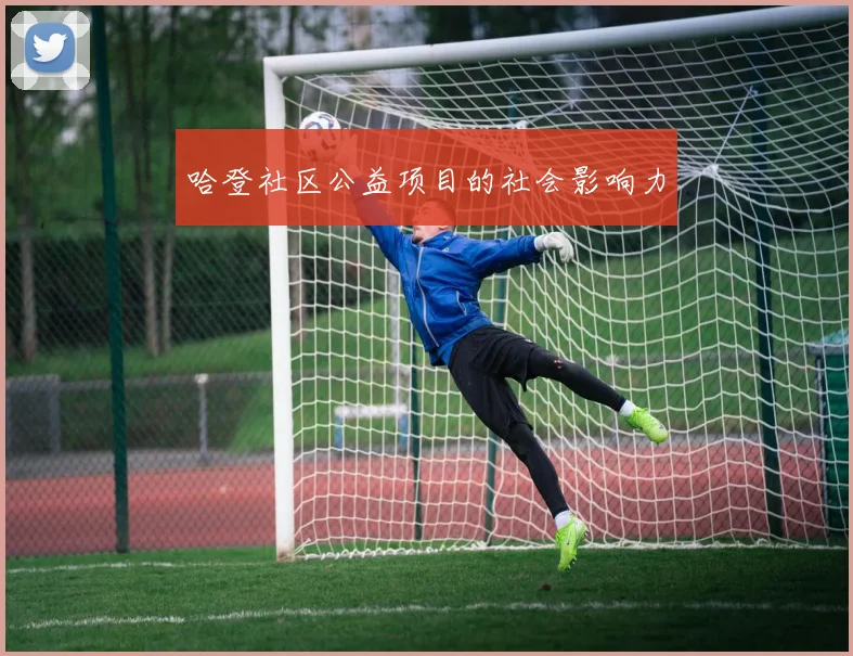 哈登社区公益项目的社会影响力
