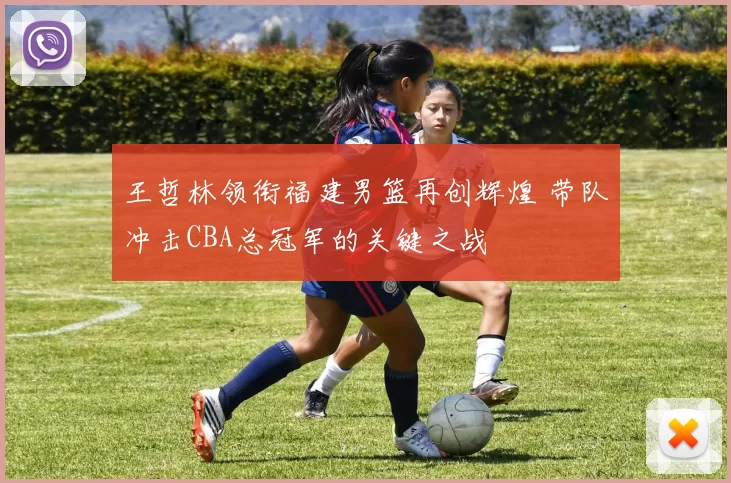 王哲林领衔福建男篮再创辉煌 带队冲击CBA总冠军的关键之战