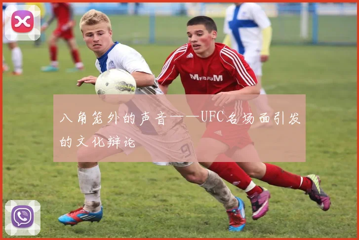 八角笼外的声音——UFC名场面引发的文化辩论