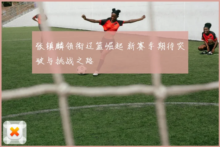 张镇麟领衔辽篮崛起 新赛季期待突破与挑战之路