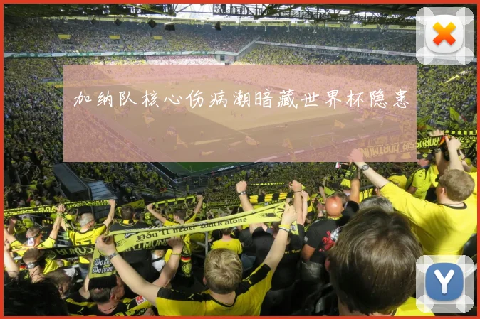 加纳队核心伤病潮暗藏世界杯隐患