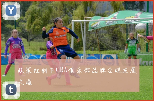 政策红利下CBA俱乐部品牌合规发展之道