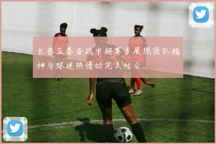 长春亚泰奋战中超赛季展现团队精神与球迷热情的完美结合