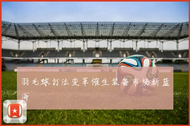 羽毛球打法变革催生装备市场新蓝海